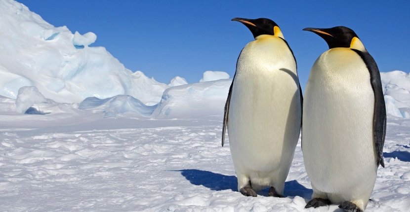 МТС обеспечила связью полярников в Антарктиде